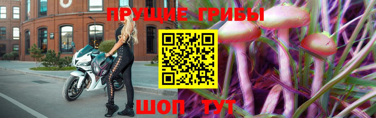 Галлюциногенные грибы MAGIC MUSHROOMS  Вход с VPN  Азов 